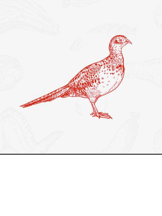 Gibier - La Boucherie - Viande en Ligne