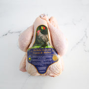 Coucou de Malines Halal | Votre boucherie en ligne | La Boucherie s.a.
