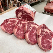 Cuberoll Angus Argentin