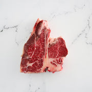 T-Bone Charolais
