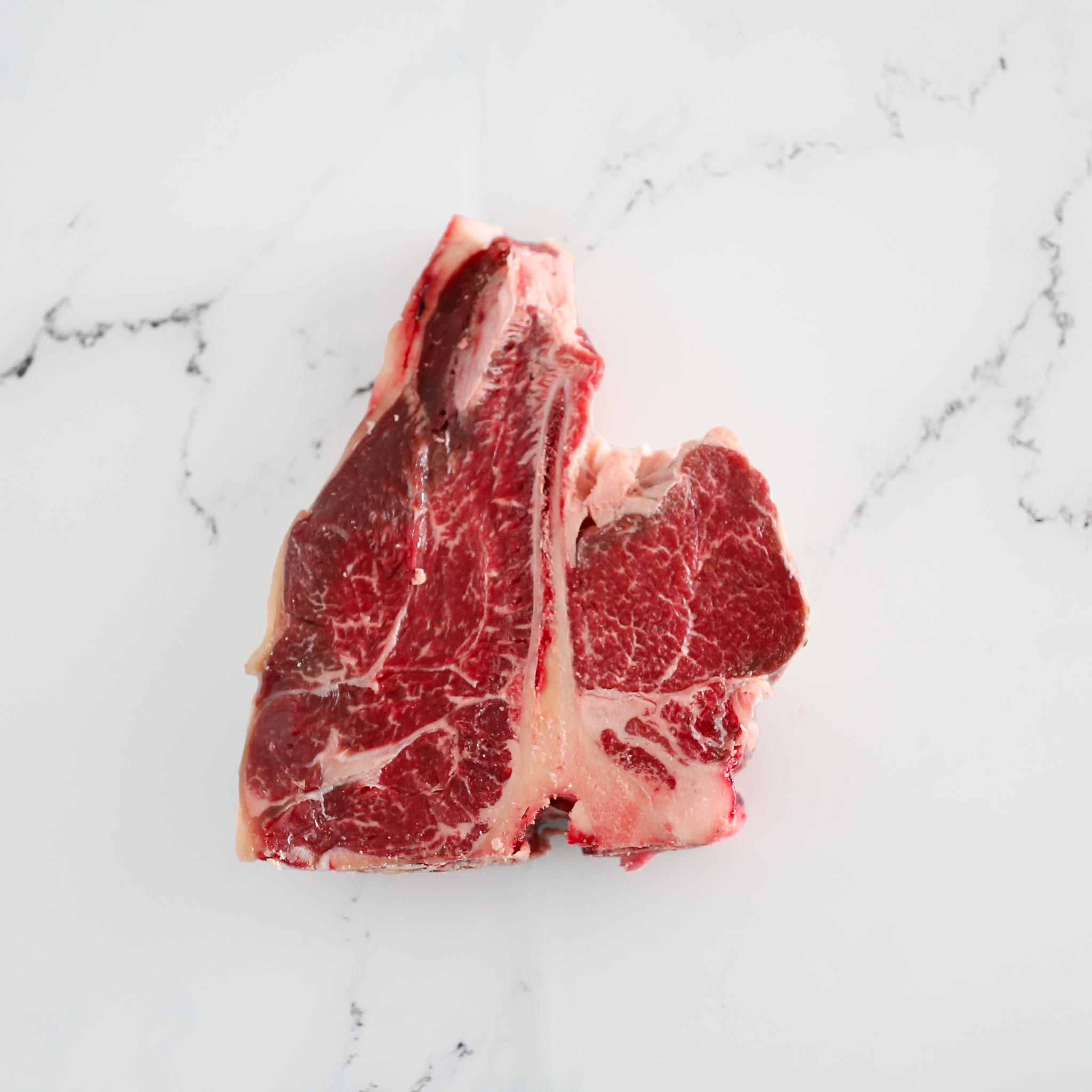 T-Bone Charolais
