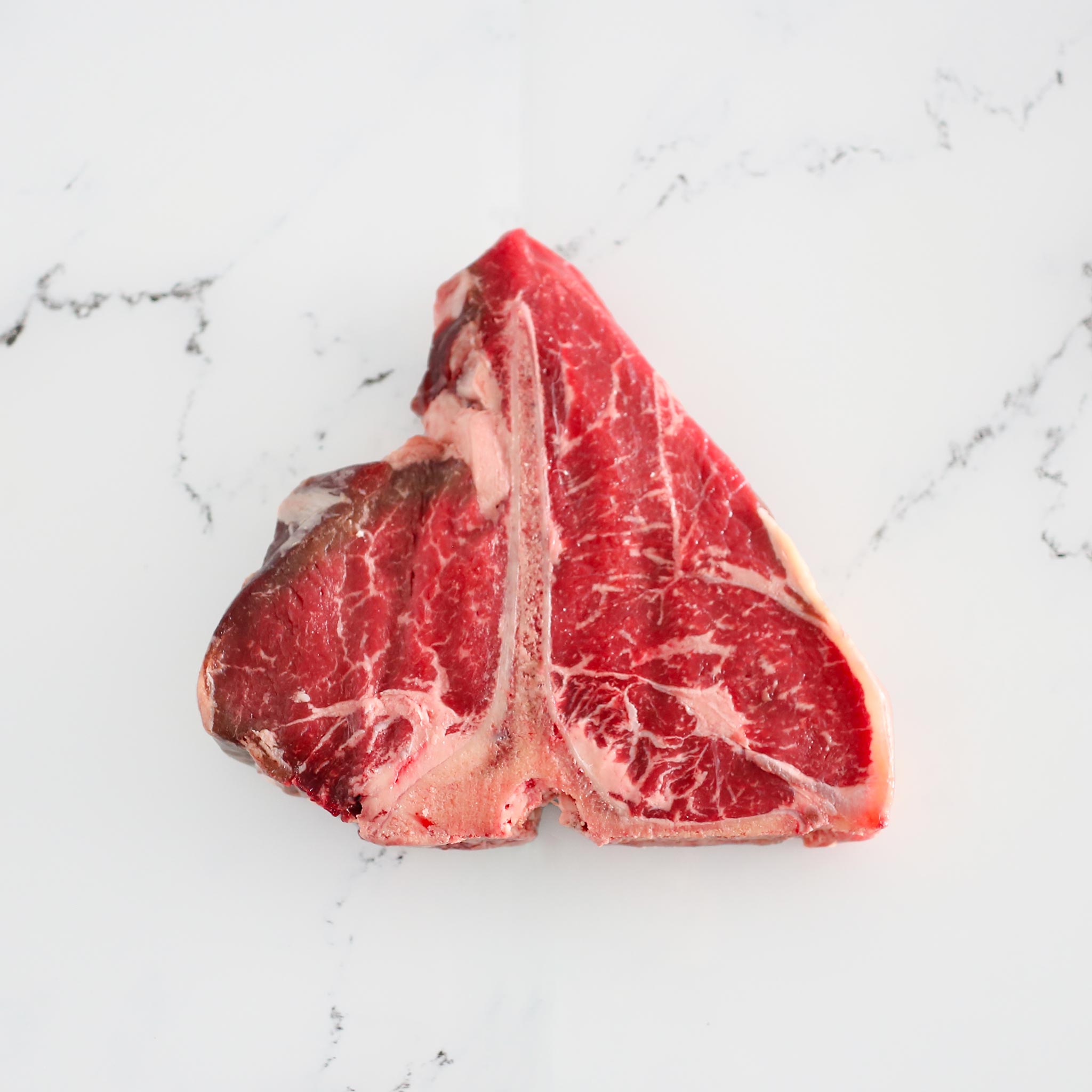 T-Bone Holstein